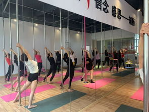 勁爆好消息！胡楊舞蹈周年特惠，僅198元體驗舞蹈魅力！